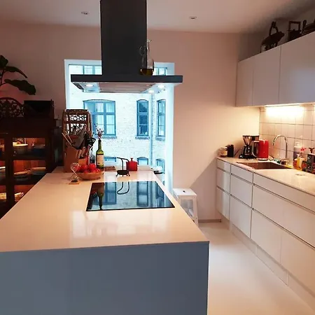 Norrebro Oasis - With 2 Cats - Families Only * Kopenhagen